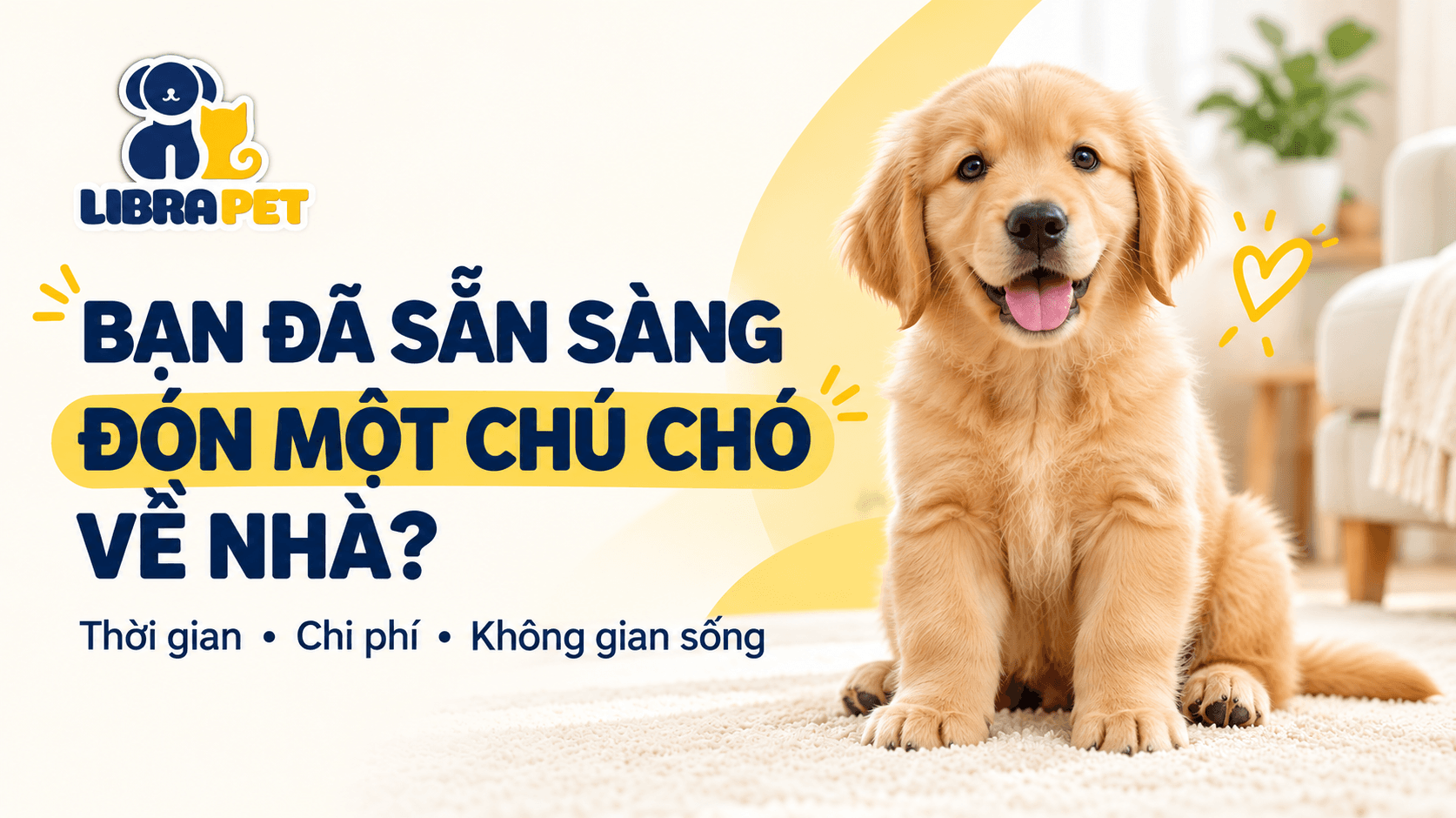Bạn đã sẵn sàng đón một chú chó về nhà?