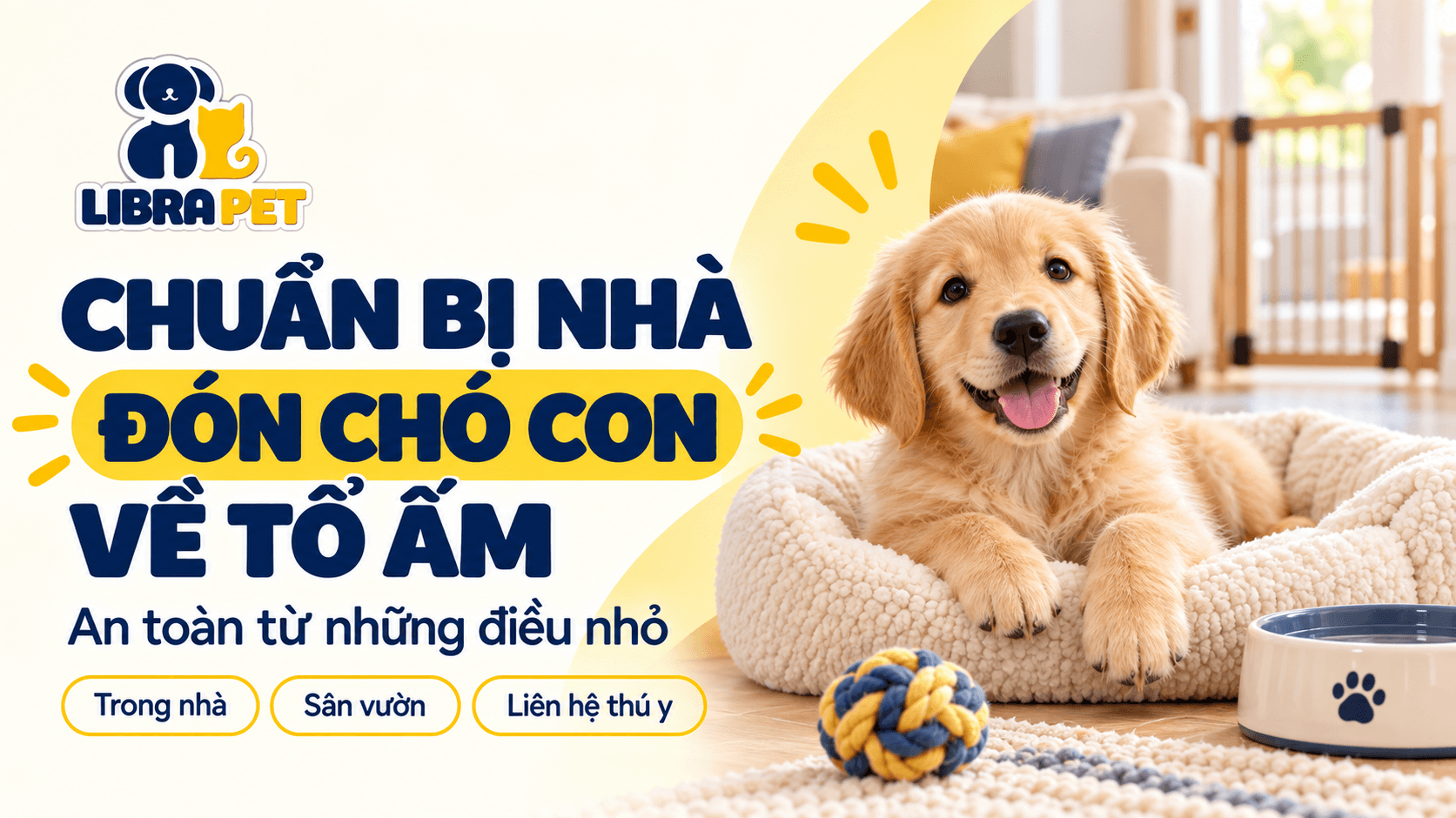 Chuẩn bị nhà cửa trước khi đón chó con về