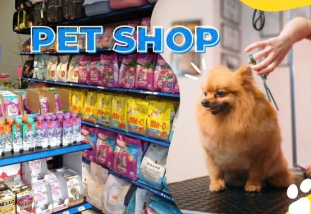 Pet shop là gì? Địa chỉ pet shop chó mèo uy tín tại TP.HCM